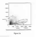 Fig. 02 - MULTIPOTENT STEM CELLS AND USES THEREOF