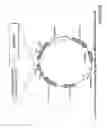 Fig. 15 - MULTIPOTENT STEM CELLS AND USES THEREOF