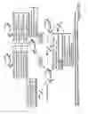 Fig. 27 - MULTIPOTENT STEM CELLS AND USES THEREOF