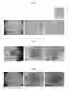 Fig. 05 - Culture media for multipotent stem cells