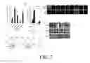 Fig. 03 - INHIBITION AND ENHANCEMENT OF REPROGRAMMING BY CHROMATIN MODIFYING ENZYMES