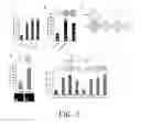 Fig. 04 - INHIBITION AND ENHANCEMENT OF REPROGRAMMING BY CHROMATIN MODIFYING ENZYMES
