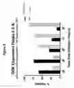 Fig. 09 - A PROCESS FOR THE PRODUCTION OF ADENOVIRUS
