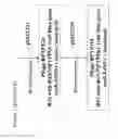 Fig. 12 - Multiple host range bacteriophage with hybrid tail fibres