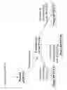 Fig. 22 - Multiple host range bacteriophage with hybrid tail fibres
