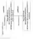 Fig. 37 - Multiple host range bacteriophage with hybrid tail fibres