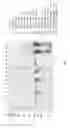 Fig. 02 - Beta-lactamases with improved properties for therapy