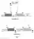Fig. 02 - Multi-chain eukaryotic display vectors and uses thereof