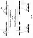 Fig. 06 - Methods for genome assembly, haplotype phasing, and target independent nucleic acid detection