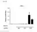 Fig. 08 - Method for RGEN RNP delivery using 5′-phosphate removed RNA
