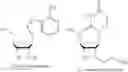 Fig. 02 - Beta-catenin nucleic acids and uses thereof