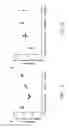 Fig. 02 - Recombinant arterivirus replicon systems and uses thereof