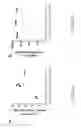 Fig. 09 - Recombinant arterivirus replicon systems and uses thereof