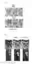 Fig. 02 - ADENOVIRUS CONSTRUCTS AND METHODS