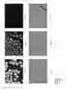 Fig. 07 - Digital polymerase fidelity assay