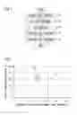 Fig. 02 - Austenitic stainless steel and method of manufacturing the same