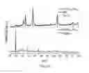 Fig. 04 - Microwave assisted synthesis of metal oxyhydroxides