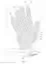 Fig. 02 - Device adapted to maintain form and assist in drying of a glove