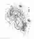Fig. 02 - Method for engine braking a vehicle having a continuously variable transmission