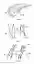 Fig. 07 - Water turbine assembly