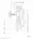 Fig. 02 - Powershift multispeed reversing transmission