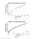 Fig. 06 - Covalent organic framework nanoporous materials for high pressure gas storage