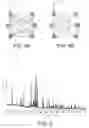Fig. 04 - LED phosphor comprising bow-tie shaped ANbuilding blocks