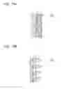 Fig. 13 - DAYLIGHTING DEVICE AND DAYLIGHTING SYSTEM