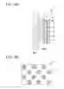 Fig. 17 - DAYLIGHTING DEVICE AND DAYLIGHTING SYSTEM