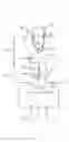 Fig. 01 - PULSED COMBUSTION REACTOR WITH PULSATING FLAME, IN PARTICULAR FOR THERMAL MATERIAL TREATMENT OR MATERIAL SYNTHESIS