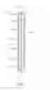Fig. 08 - Heat exchanger