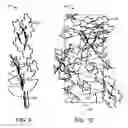 Fig. 09 - ADAPTIVE CAMOUFLAGE