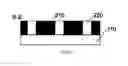 Fig. 05 - Gel electrophoresis chip