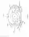 Fig. 04 - EYE COVERING AND REFRACTIVE CORRECTION METHODS AND APPARATUS HAVING IMPROVED TEAR FLOW, COMFORT, AND/OR APPLICABILITY
