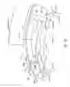 Fig. 06 - EYE COVERING AND REFRACTIVE CORRECTION METHODS AND APPARATUS HAVING IMPROVED TEAR FLOW, COMFORT, AND/OR APPLICABILITY
