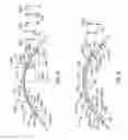 Fig. 22 - EYE COVERING AND REFRACTIVE CORRECTION METHODS AND APPARATUS HAVING IMPROVED TEAR FLOW, COMFORT, AND/OR APPLICABILITY