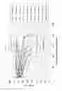 Fig. 06 - Nonaqueous electrolyte secondary battery and cathode sheet therefor