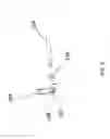 Fig. 07 - Multiband WiFi directional antennas