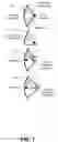 Fig. 02 - Systems and methods of antenna design for full-duplex line of sight transmission