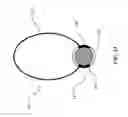 Fig. 08 - Ultrasonic hearing system and related methods