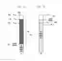Fig. 02 - Method of efficiently reporting user equipment transmission power and apparatus thereof