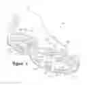 Fig. 04 - Article of footwear with outsole web and midsole protrusions