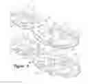 Fig. 05 - Article of footwear with outsole web and midsole protrusions