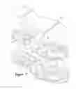 Fig. 07 - Article of footwear with outsole web and midsole protrusions