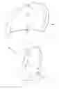 Fig. 06 - Container, such as a bag or a leather article, comprising a clasp
