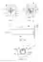 Fig. 04 - TOOTHBRUSH AND METHOD OF MANUFACTURING AND USING THE SAME
