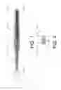 Fig. 02 - Toothbrush with light transmissive handle