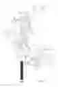 Fig. 04 - Quickly released and fastened adjustment mechanism