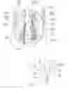 Fig. 02 - APPARATUS, SYSTEMS, AND METHODS FOR ACHIEVING INTRAVASCULAR, THERMALLY-INDUCED RENAL NEUROMODULATION