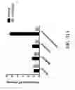 Fig. 35 - METHODS AND COMPOSITIONS COMPRISING AKT INHIBITORS AND/OR PHOSPHOLIPASE D INHIBITORS
